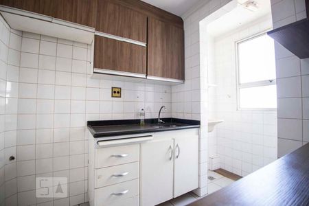 cozinha de apartamento para alugar com 2 quartos, 40m² em São Bernardo, Campinas