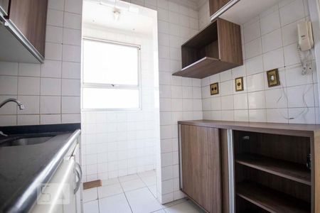 cozinha de apartamento para alugar com 2 quartos, 40m² em São Bernardo, Campinas