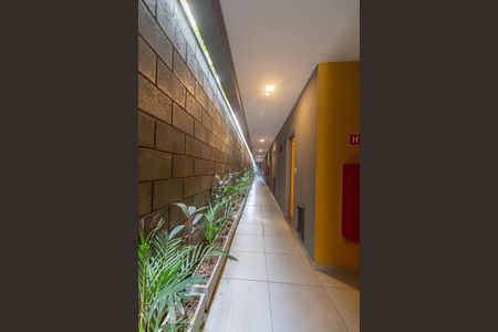 Studio para alugar com 33m², 1 quarto e sem vaga Studio para alugar com 33m², 1 quarto e sem vagaCorredor