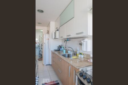 Cozinha de apartamento para alugar com 2 quartos, 76m² em Laranjeiras, Rio de Janeiro
