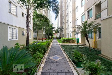 Apartamento para alugar com 50m², 2 quartos e 1 vaga Apartamento para alugar com 50m², 2 quartos e 1 vagaÁrea Externa