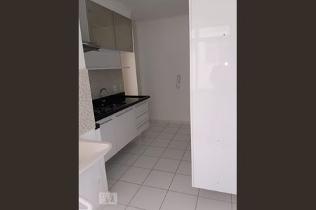 Cozinha de apartamento para alugar com 2 quartos, 49m² em Parque Jambeiro, Campinas