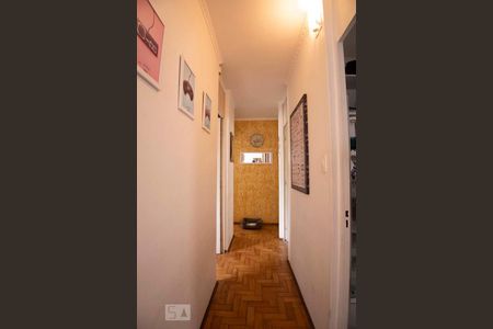 corredor de apartamento para alugar com 3 quartos, 70m² em Jardim Indianópolis, Campinas