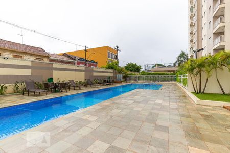 Área comum - Piscina de apartamento para alugar com 2 quartos, 49m² em Vila Industrial, Campinas