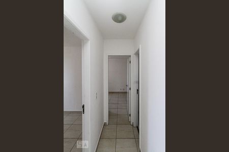 corredor de apartamento para alugar com 2 quartos, 49m² em Vila Antonieta, São Paulo