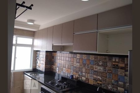 cozinha de apartamento para alugar com 2 quartos, 49m² em Vila Satúrnia, Campinas