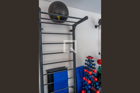Apartamento para alugar com 49m², 2 quartos e 1 vaga Apartamento para alugar com 49m², 2 quartos e 1 vagaÁrea comum - Academia