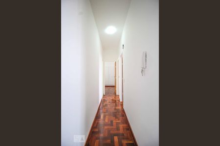 Corredor de apartamento para alugar com 3 quartos, 85m² em São Lucas, Belo Horizonte