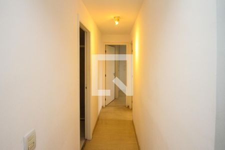 Corredor de apartamento para alugar com 2 quartos, 46m² em Jardim Vila Formosa, São Paulo