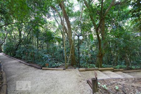 Apartamento para alugar com 360m², 4 quartos e 4 vagas Apartamento para alugar com 360m², 4 quartos e 4 vagasBosque privativo
