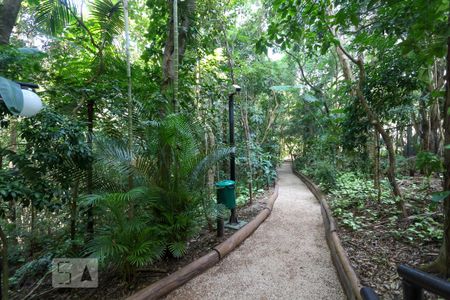 Apartamento para alugar com 360m², 4 quartos e 4 vagas Apartamento para alugar com 360m², 4 quartos e 4 vagasBosque privativo