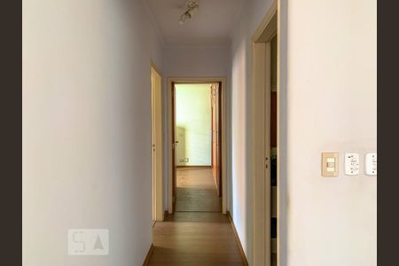 Corredor de apartamento para alugar com 2 quartos, 115m² em Cambuí, Campinas