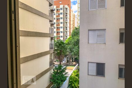 Vista de apartamento para alugar com 2 quartos, 115m² em Cambuí, Campinas