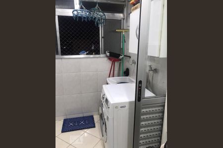 Área de serviço de apartamento para alugar com 3 quartos, 65m² em Vila Matilde, São Paulo