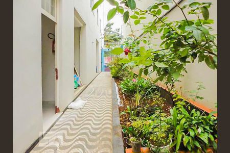 Área comum - Área externa de apartamento à venda com 2 quartos, 83m² em Cambuci, São Paulo