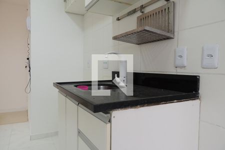 Apartamento à venda com 52m², 2 quartos e 1 vagaCozinha - Armários