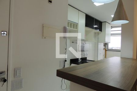 Apartamento à venda com 52m², 2 quartos e 1 vagaCozinha - Armários