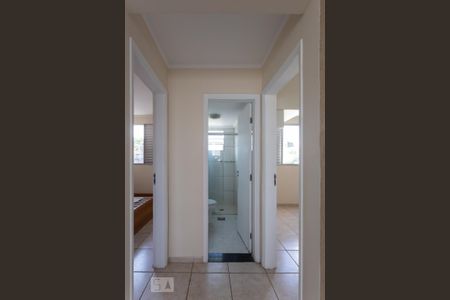 Corredor de apartamento à venda com 2 quartos, 57m² em Vila Industrial, Campinas