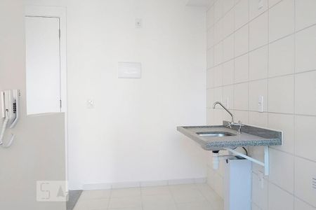 Cozinha de apartamento para alugar com 2 quartos, 48m² em Jardim América da Penha, São Paulo