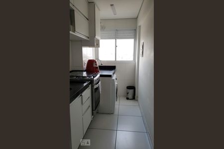 Cozinha de apartamento para alugar com 2 quartos, 64m² em Jardim Matarazzo, São Paulo