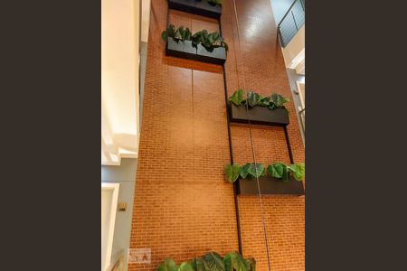 Jardim de kitnet/studio para alugar com 1 quarto, 45m² em Campeche, Florianópolis