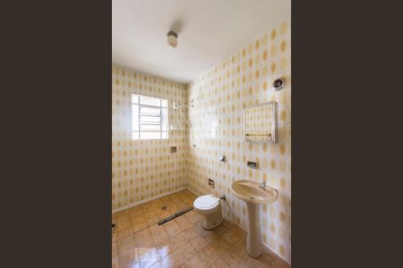 Banheiro - Torneira de casa à venda com 2 quartos, 145m² em Vila Santana, Campinas