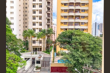 Vista de apartamento para alugar com 1 quarto, 45m² em Cambuí, Campinas