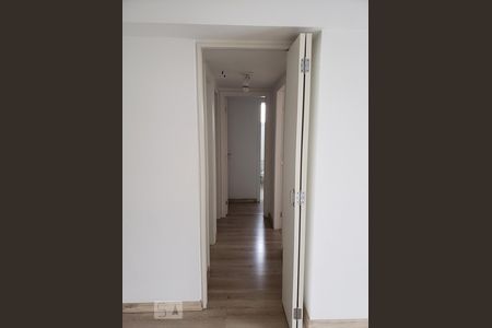 Corredor de apartamento para alugar com 3 quartos, 71m² em Vila Suzana, São Paulo