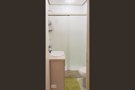 Banheiro de apartamento para alugar com 2 quartos, 60m² em Laranjeiras, Rio de Janeiro