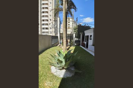Apartamento para alugar com 67m², 3 quartos e 2 vagas Apartamento para alugar com 67m², 3 quartos e 2 vagasÁrea comum