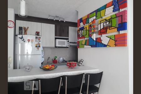 Cozinha de apartamento para alugar com 2 quartos, 45m² em Jardim Modelo, São Paulo