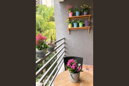 Varanda de apartamento para alugar com 3 quartos, 77m² em Vila Sofia, São Paulo