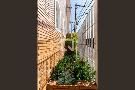 Jardim de casa à venda com 3 quartos, 200m² em Vila Mafra, São Paulo