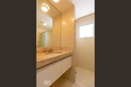 Banheiro 1  Social  de apartamento para alugar com 3 quartos, 95m² em Vila Indiana, São Paulo