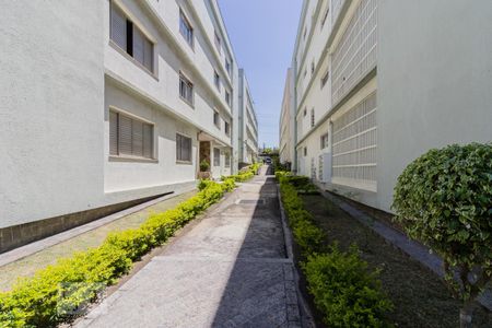 Área de Circulação de apartamento à venda com 3 quartos, 70m² em Campestre, Santo André
