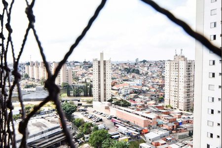 Varanda de apartamento para alugar com 3 quartos, 70m² em Jardim Consórcio, São Paulo