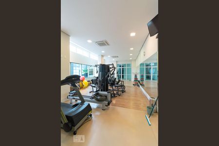 Academia de apartamento para alugar com 1 quarto, 39m² em Vila Cruzeiro, São Paulo