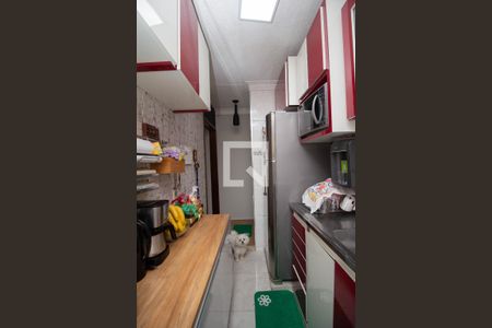 Apartamento para alugar com 49m², 2 quartos e sem vaga Apartamento para alugar com 49m², 2 quartos e sem vagaCozinha