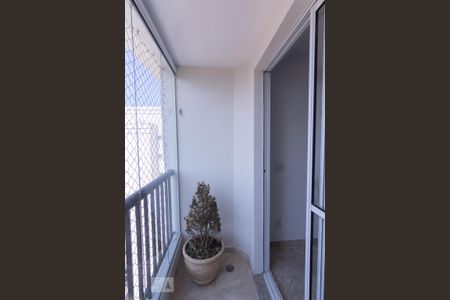Varanda Sala de apartamento para alugar com 2 quartos, 53m² em Vila Anastácio, São Paulo