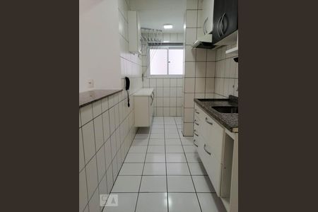 Cozinha de apartamento para alugar com 3 quartos, 62m² em Campestre, São Caetano do Sul