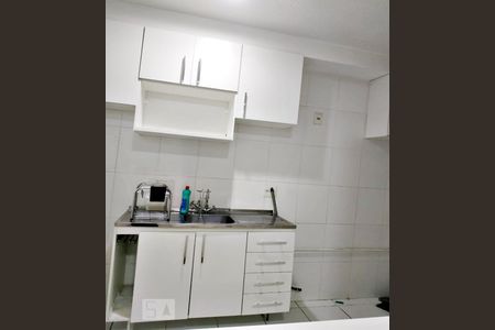 Cozinha - Armários de apartamento para alugar com 2 quartos, 45m² em Jardim Modelo, São Paulo