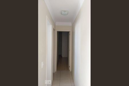 Corredor de apartamento para alugar com 2 quartos, 55m² em Jardim Paulistano, Campinas