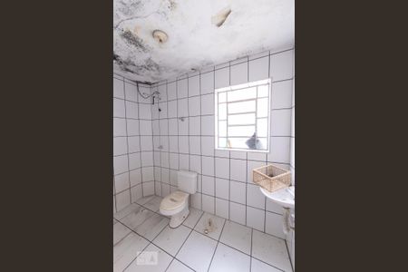 Banheiro Social de casa para alugar com 2 quartos, 100m² em Vila São Geraldo, São Paulo