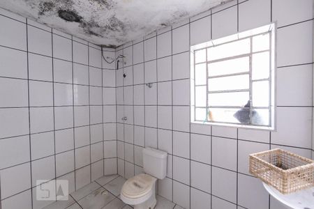 Banheiro Social de casa para alugar com 2 quartos, 100m² em Vila São Geraldo, São Paulo