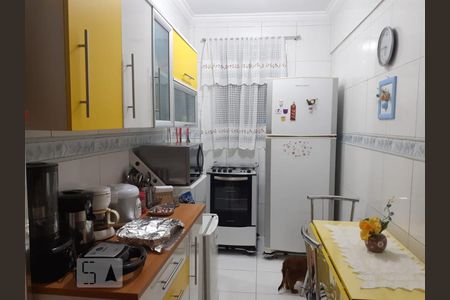 Cozinha de apartamento para alugar com 3 quartos, 79m² em Cambuci, São Paulo