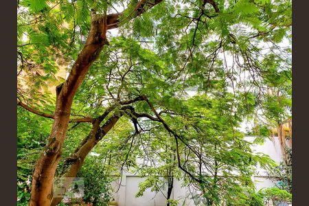 Sala de apartamento para alugar com 2 quartos, 54m² em Vila Madalena, São Paulo