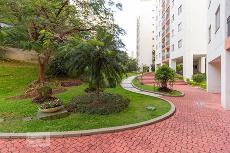 Apartamento para alugar com 55m², 2 quartos e 1 vagaÁrea comum