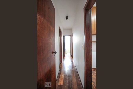 Corredor de apartamento para alugar com 3 quartos, 94m² em Santo Antônio, Belo Horizonte