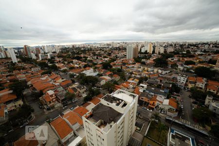 Apartamento para alugar com 67m², 1 quarto e 1 vagaVista terraço