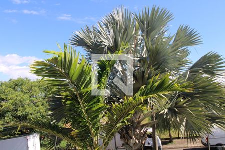 Casa de condomínio à venda com 135m², 3 quartos e 2 vagasVista/Suíte 